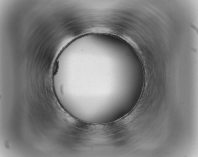 X0000096211248200802011314