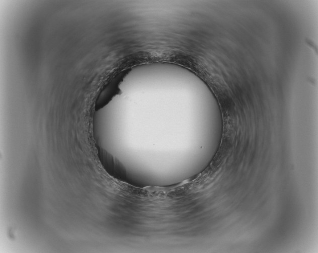 X0000096211249200802011314