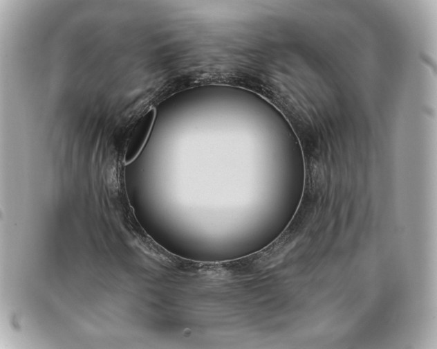 X0000096211250200802011314