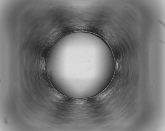 X0000096211251200802011314