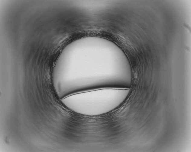 X0000096211252200802011314