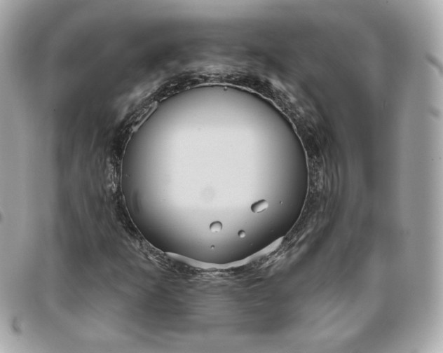 X0000096211253200802011314