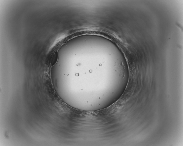 X0000096211255200802011314