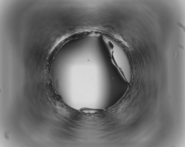 X0000096211256200802011314