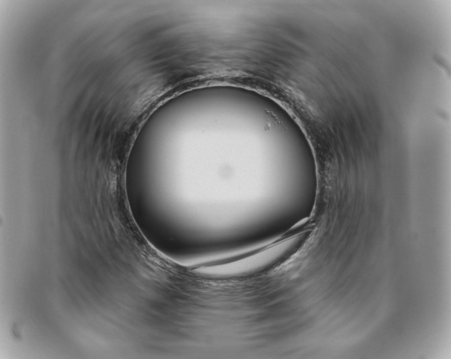 X0000096211257200802011314