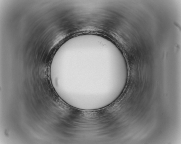 X0000096211258200802011314