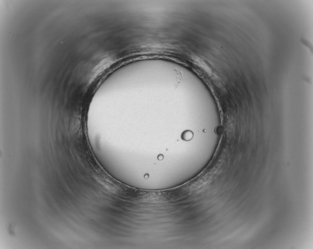 X0000096211259200802011314