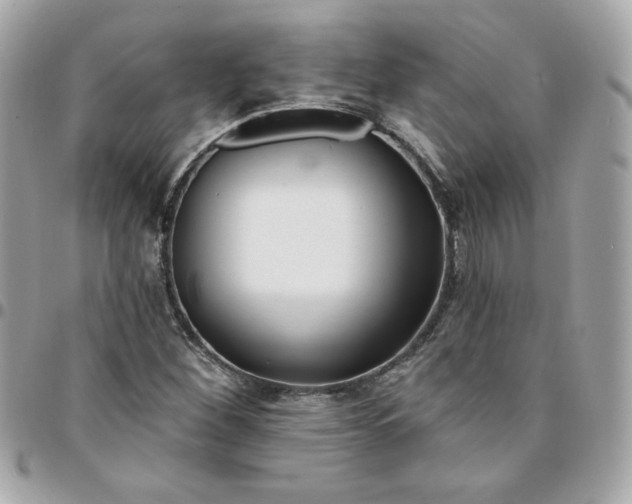 X0000096211260200802011314