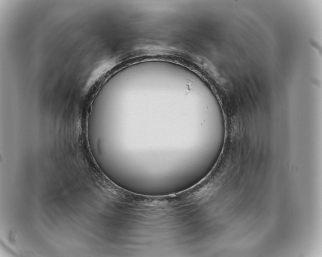 X0000096211261200802011314