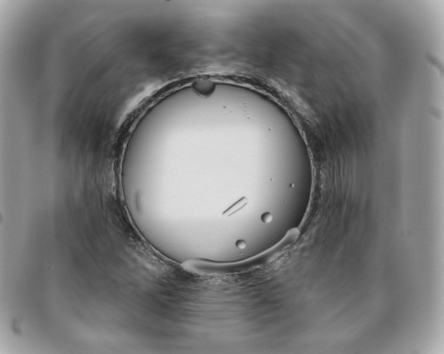 X0000096211262200802011314