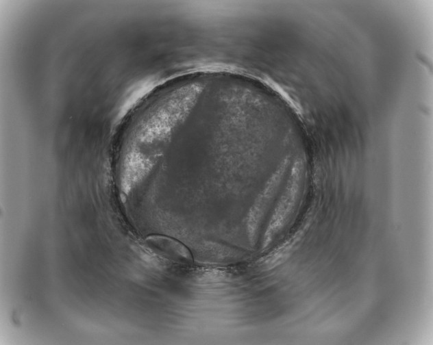 X0000096211263200802011314