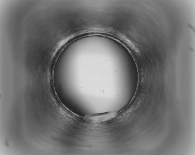 X0000096211264200802011314