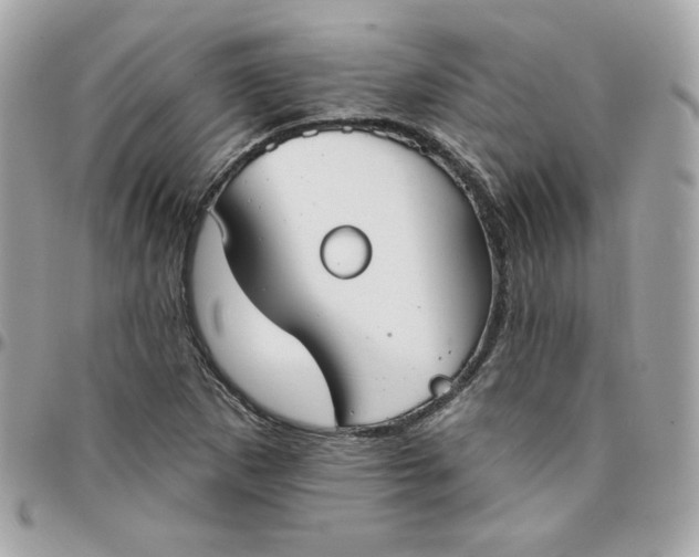 X0000096211265200802011314