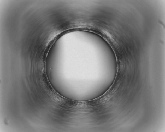 X0000096211267200802011314