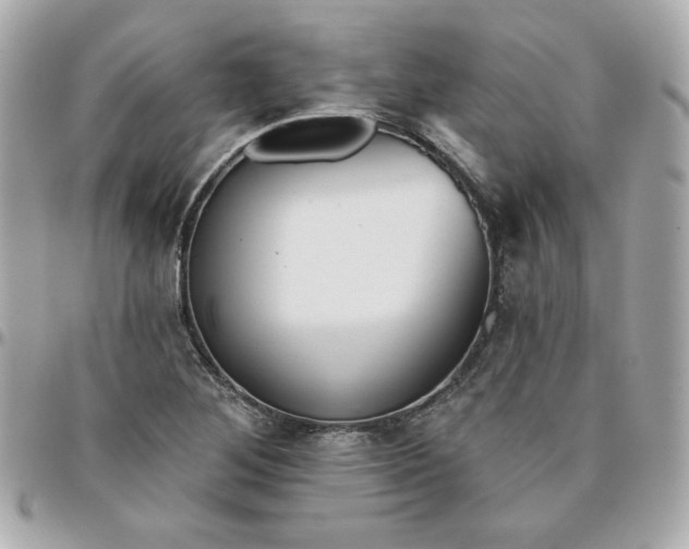 X0000096211268200802011314