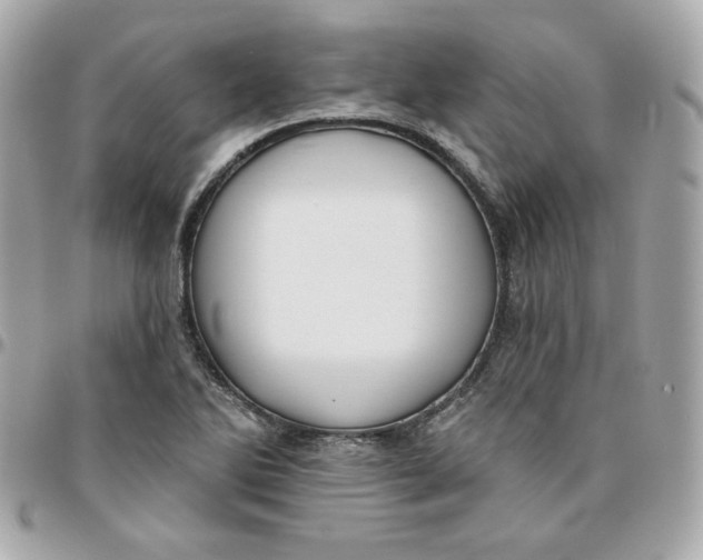 X0000096211270200802011314