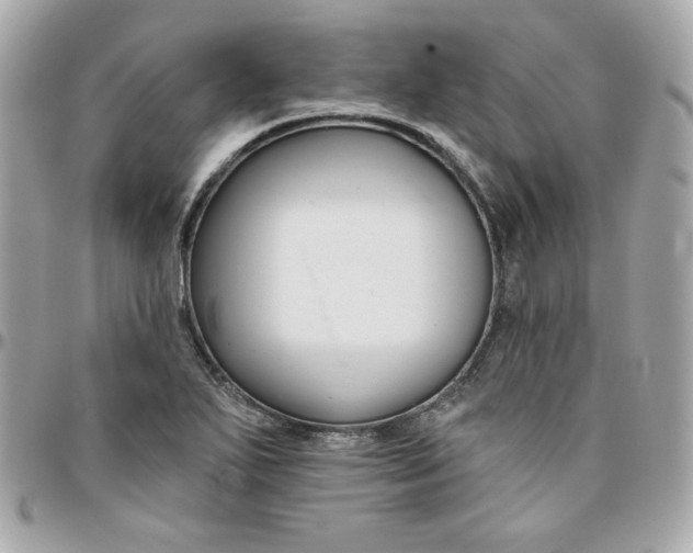 X0000096211271200802011313