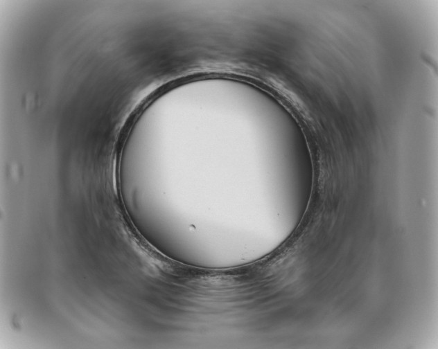 X0000096211272200802011313