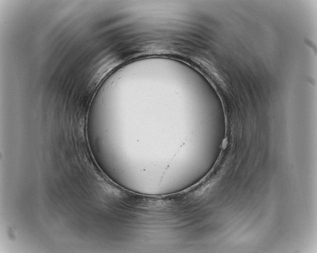 X0000096211273200802011313