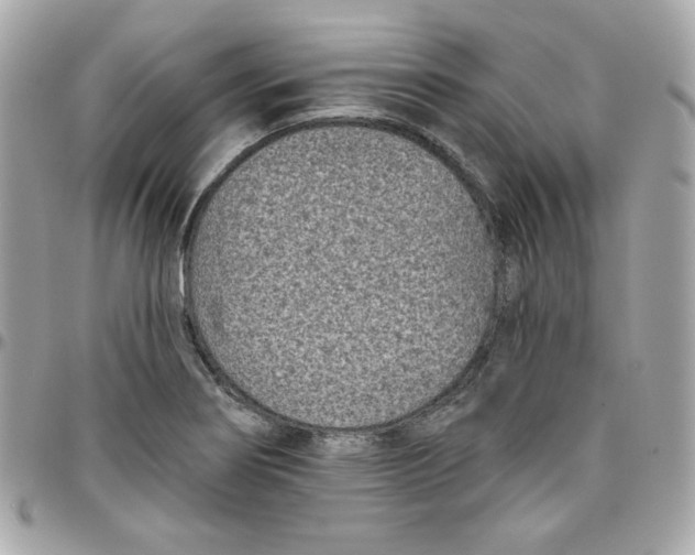 X0000096211274200802011313