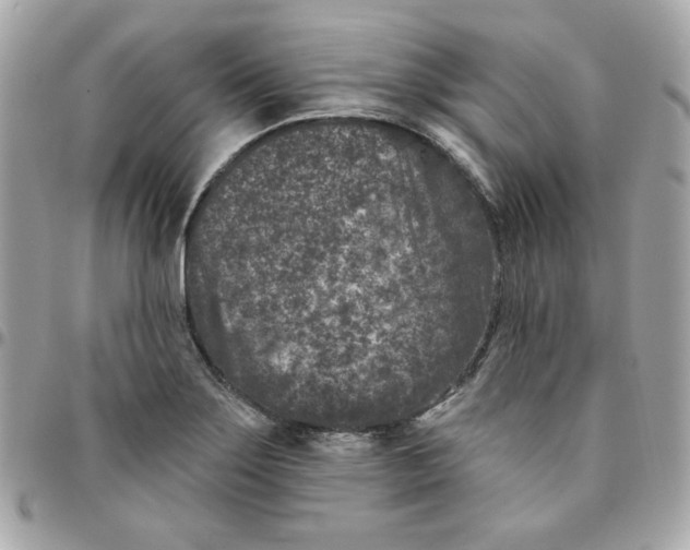 X0000096211275200802011313