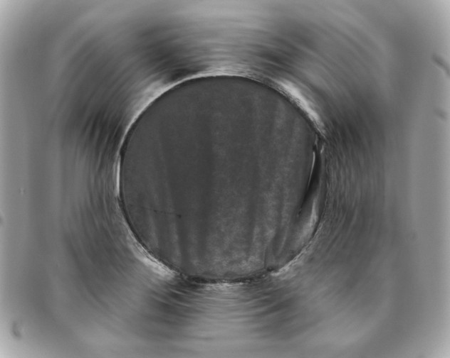 X0000096211276200802011313