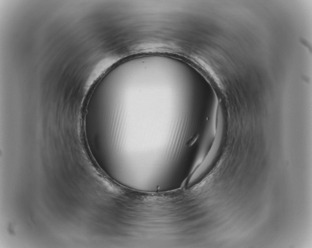 X0000096211277200802011313