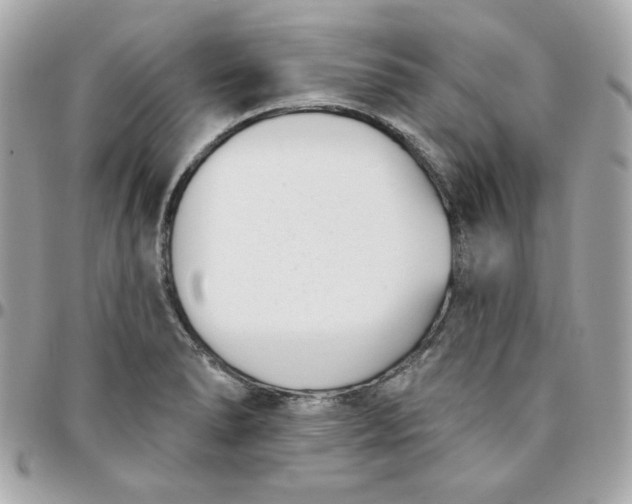 X0000096211278200802011313