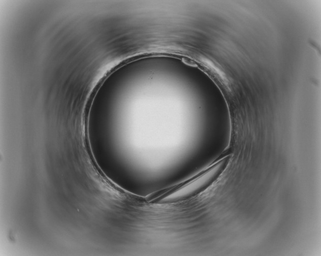 X0000096211280200802011313