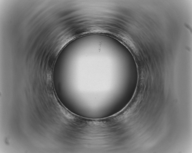 X0000096211281200802011313