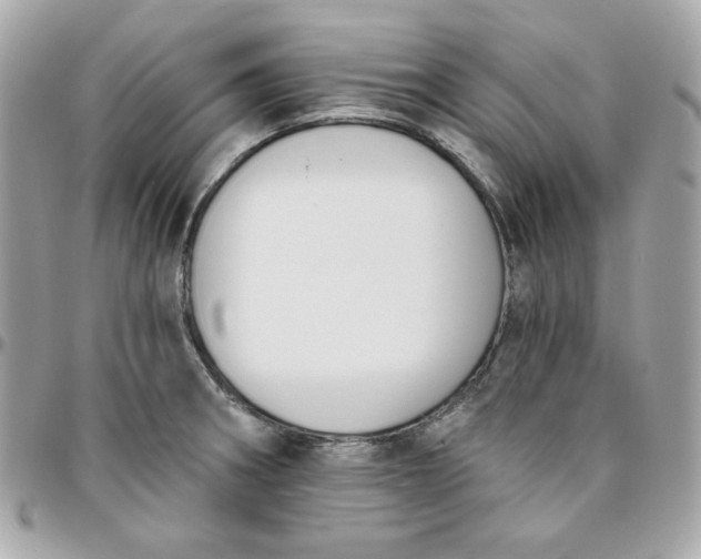 X0000096211282200802011313