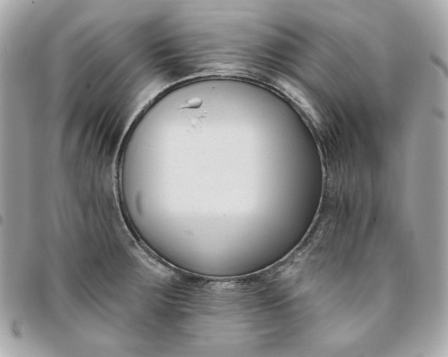 X0000096211283200802011313