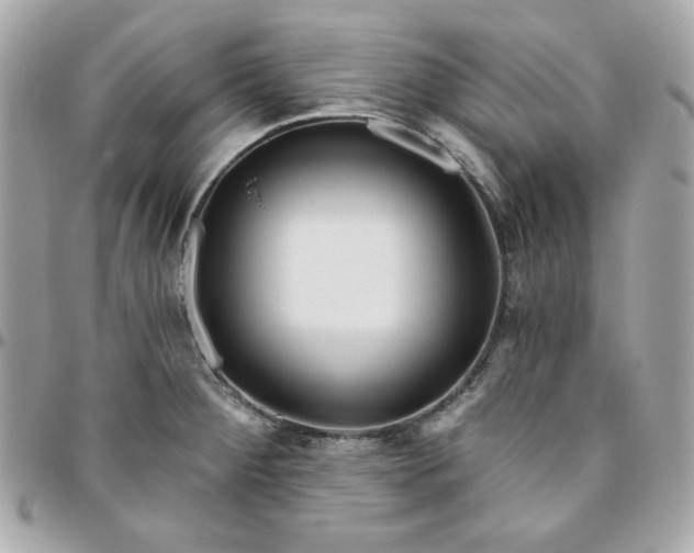 X0000096211284200802011313