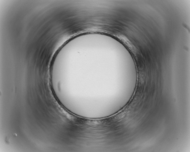 X0000096211286200802011313