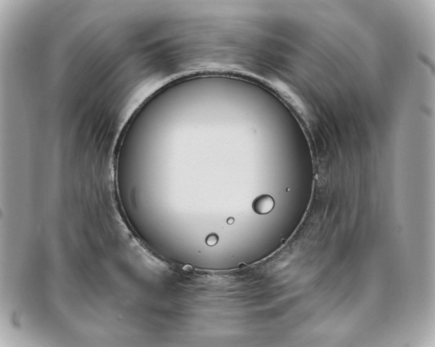 X0000096211287200802011313