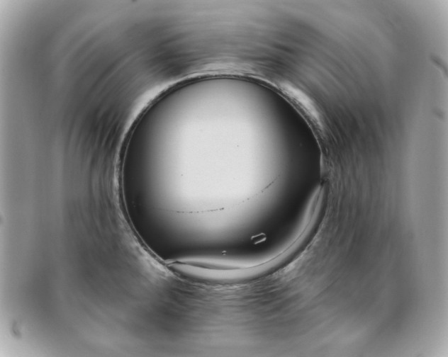 X0000096211288200802011313