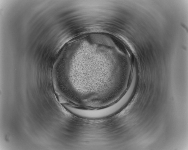 X0000096211289200802011313