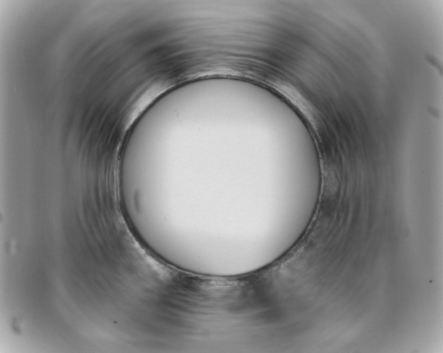 X0000096211290200802011313