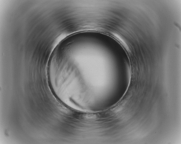 X0000096211291200802011313