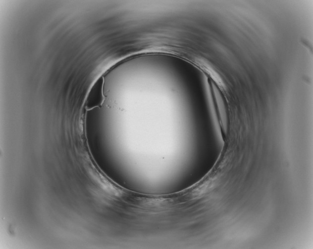 X0000096211292200802011313