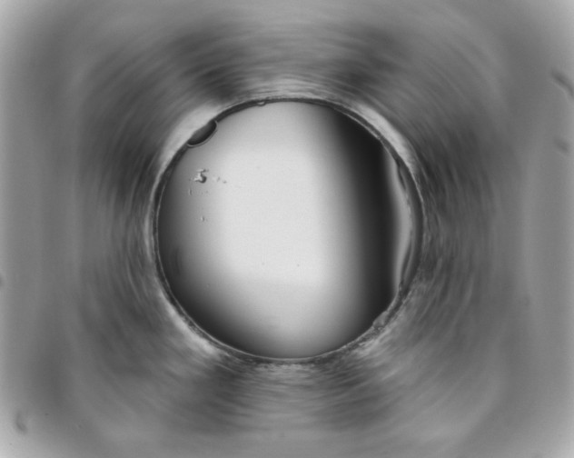 X0000096211293200802011313