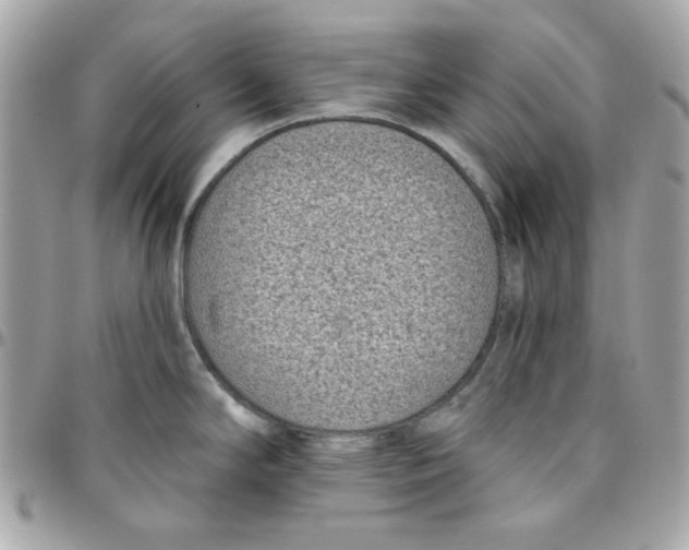 X0000096211294200802011313