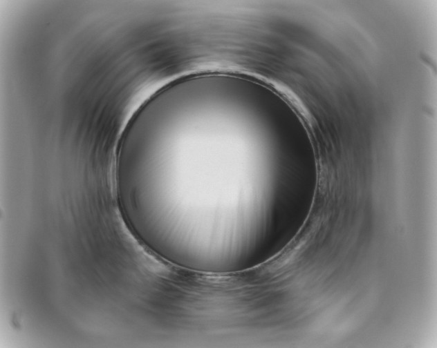 X0000096211295200802011313