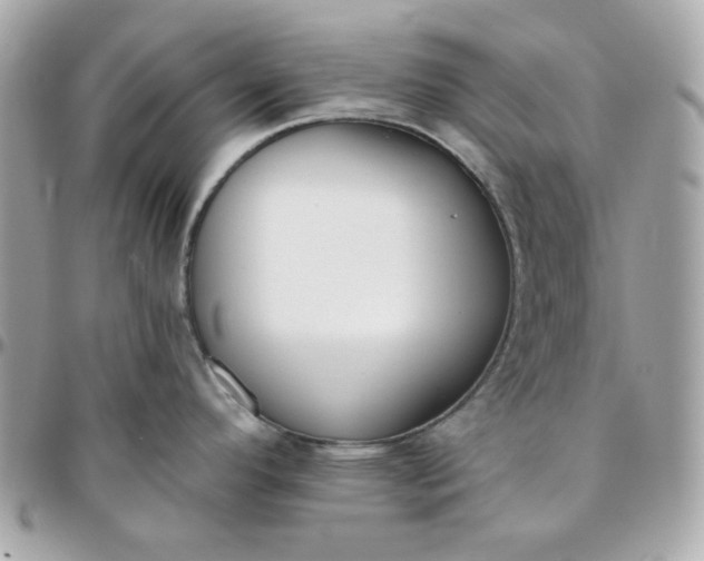 X0000096211296200802011313