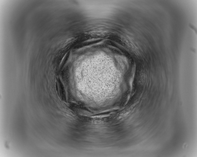 X0000096211297200802011313