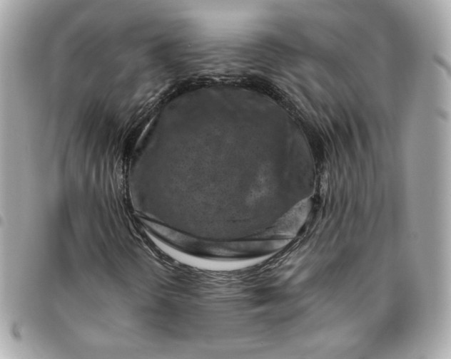 X0000096211298200802011313