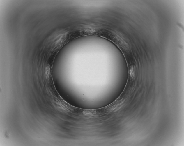 X0000096211299200802011313