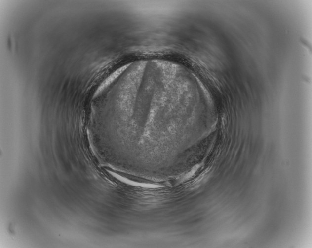 X0000096211300200802011313