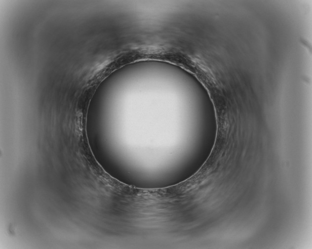 X0000096211301200802011313