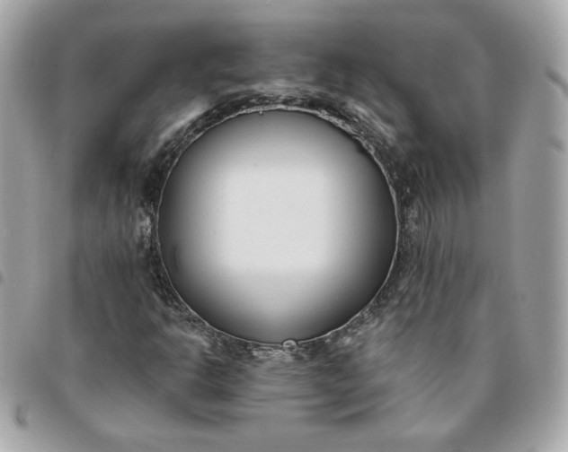 X0000096211302200802011313